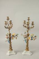 A LARGE PAIR OF PORCELAIN AND GILT METAL FOUR LIGHT CANDELABRA with birds and flower heads. 60cms