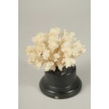 A CORAL SPECIMEN, 3ins high, on a stand.