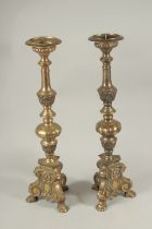 A PAIR OF BRASS PRICKET CHURCH CANDLESTICKS. 60cms high.