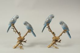 A PAIR OF PORCELAIN AND GILT METAL PARAKEET CANDLESTICKS. 26cms high.