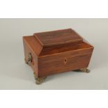 A REGENCY ROSEWOOD JEWEL BOX with lion ring handles and claw feet. 10ins long.