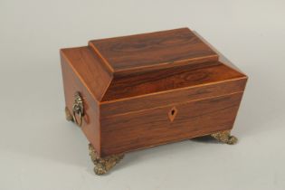 A REGENCY ROSEWOOD JEWEL BOX with lion ring handles and claw feet. 10ins long.