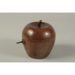 A GOOD PAINTED APPLE TEA CADDY. 4ins.