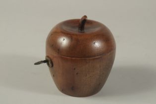 A GOOD PAINTED APPLE TEA CADDY. 4ins.