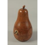 A GOOD PAINTED PEAR TEA CADDY. 7.5ins.