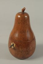 A GOOD PAINTED PEAR TEA CADDY. 7.5ins.