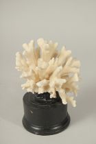 A CORAL SPECIMEN, 4ins high, on a stand.