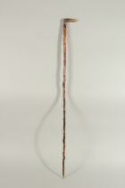 A RUSTIC WALKING STICK with a whippet bone handle. 35ins long.