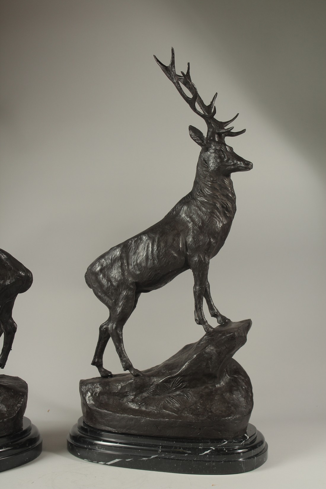 AFTER JULES MOIGNIEZ (1835-1894) FRENCH. A GOOD BRONZE PAIR OF STAGS on marble bases. 62cms high. - Image 3 of 6