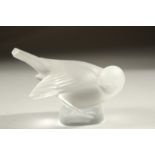 A LALIQUE FROSTED GLASS BIRD. 10cms. Etched R. Lalique, France.
