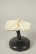 A CORAL SPECIMEN, 6ins high, on a stand.