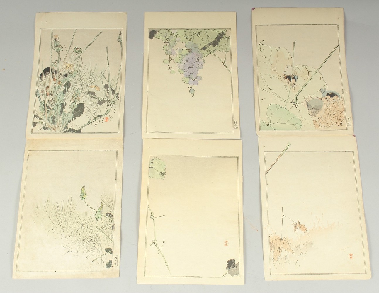 SEITEI WATANABE (1851-1918): FROM THE PICTURE ALBUM OF BIRDS AND FLOWERS, 1903; three original
