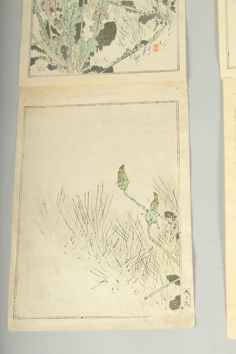 SEITEI WATANABE (1851-1918): FROM THE PICTURE ALBUM OF BIRDS AND FLOWERS, 1903; three original - Image 2 of 7