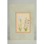 A FINE PERSIAN QAJAR PAINTING OF FLOWERS, image 18cm x 12.5cm.