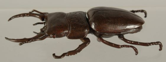 A BRONZE OKIMONO OF A STAG BEETLE, with hinged wing section, 11.5cm long.