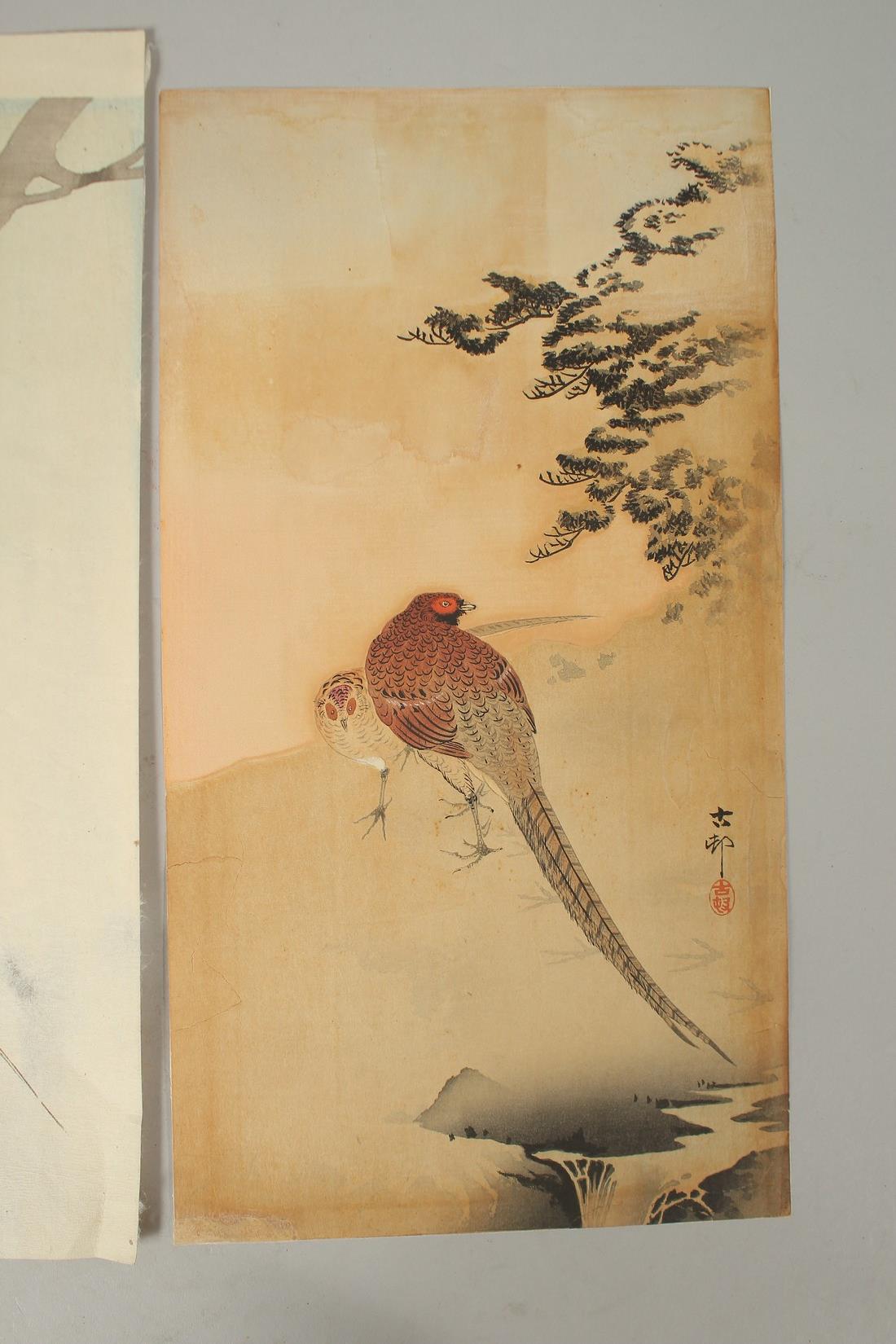 KOSON OHARA (1877-1945): PHEASANT, two early 20th century Japanese woodblock prints, (2). - Image 3 of 3