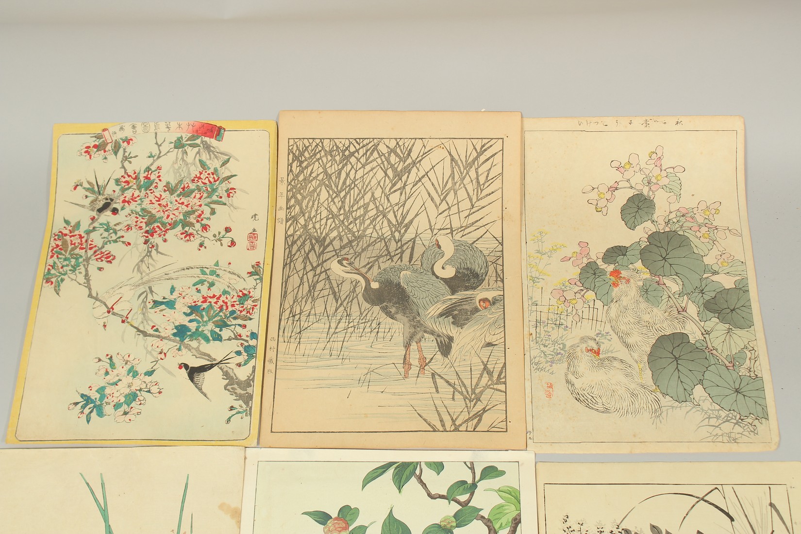 SHODO KAWARAZAKI (1889-1973), BAIREI KONO (1844-1895) & OTHERS: BIRDS AND FLOWERS, seven late 19th - Image 2 of 3
