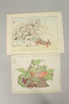 KYOSAI KAWANABE (1831-1889): FROM THE SERIES OF KYOSAI'S DRAWINGS, two late 19th century original