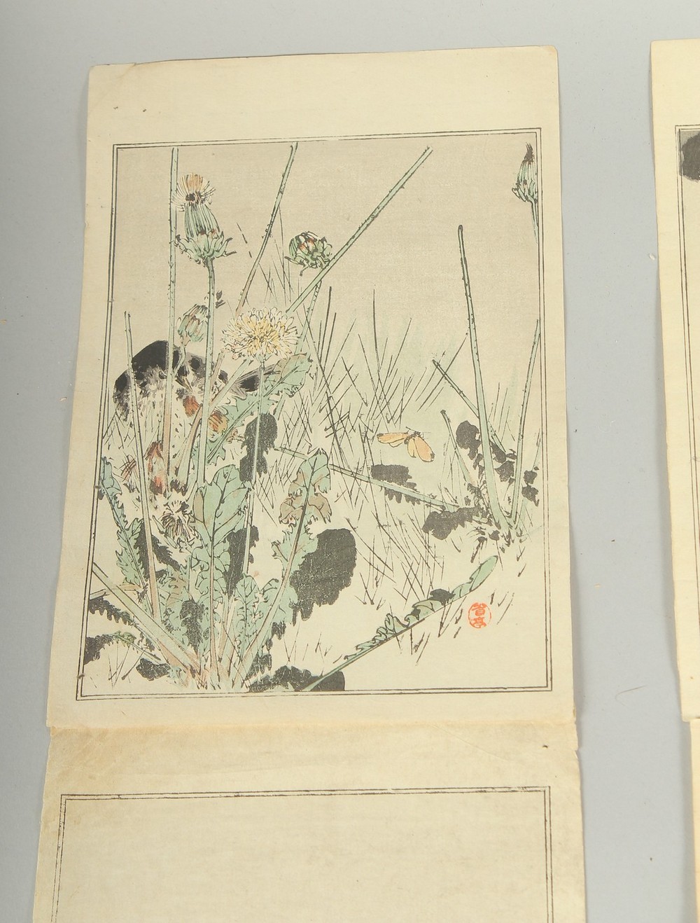 SEITEI WATANABE (1851-1918): FROM THE PICTURE ALBUM OF BIRDS AND FLOWERS, 1903; three original - Image 3 of 7