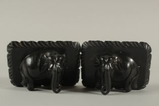 A PAIR OF 19TH CENTURY ANGLO INDIAN OR CEYLONESE CARVED EBONY ELEPHANTS, mounted on ebony, 14cm x