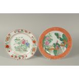 TWO CHINESE FAMILLE VERTE PICTURE PLATES, depicting exotic birds in trees, 26.5cm diameter and