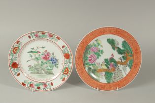 TWO CHINESE FAMILLE VERTE PICTURE PLATES, depicting exotic birds in trees, 26.5cm diameter and