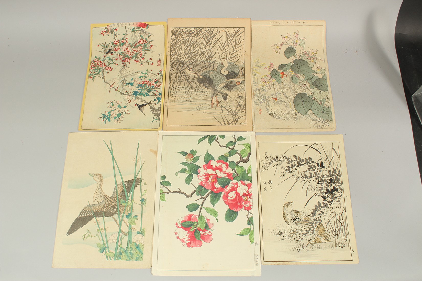 SHODO KAWARAZAKI (1889-1973), BAIREI KONO (1844-1895) & OTHERS: BIRDS AND FLOWERS, seven late 19th
