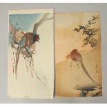 KOSON OHARA (1877-1945): PHEASANT, two early 20th century Japanese woodblock prints, (2).