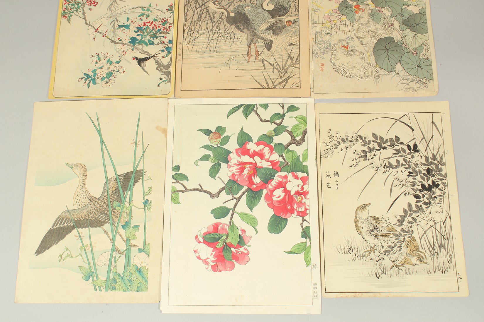 SHODO KAWARAZAKI (1889-1973), BAIREI KONO (1844-1895) & OTHERS: BIRDS AND FLOWERS, seven late 19th - Image 3 of 3