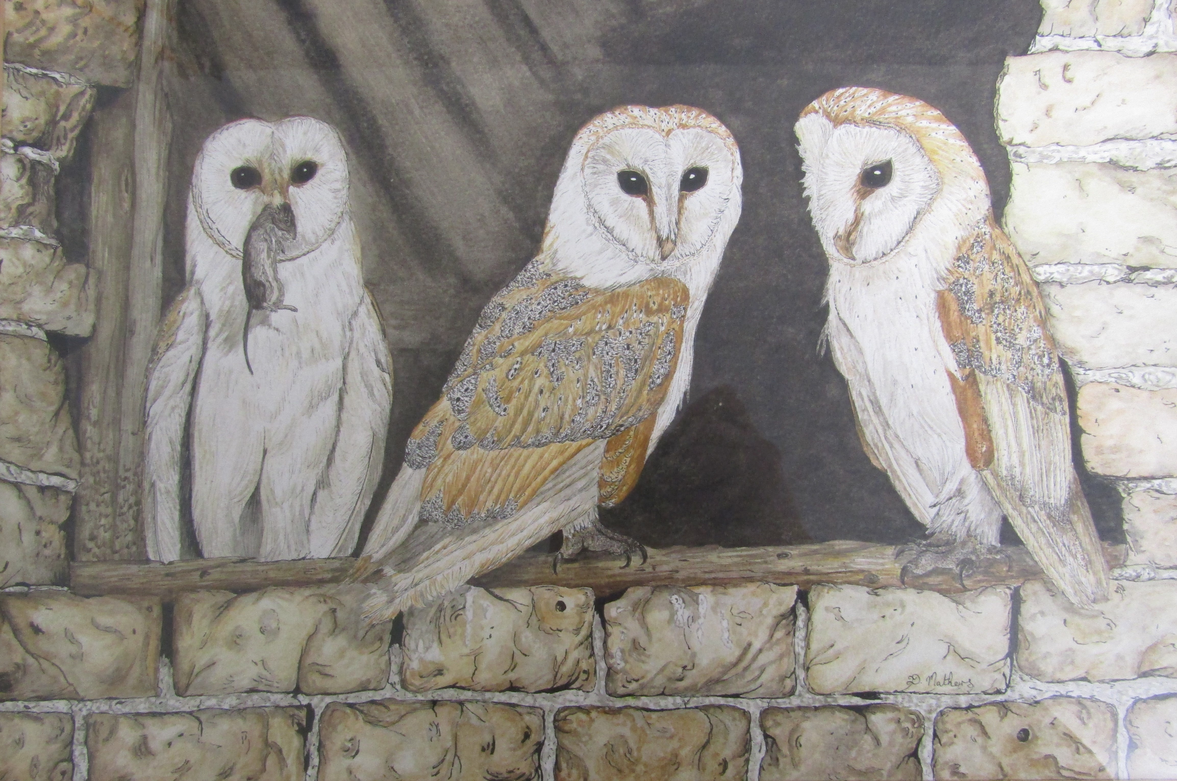 'Watchful Eyes' owl pen & ink watercolour signed D Mathers, tapestry and Lincolnshire maps - Image 2 of 6