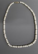 Cultured pearl & 9ct gold necklace