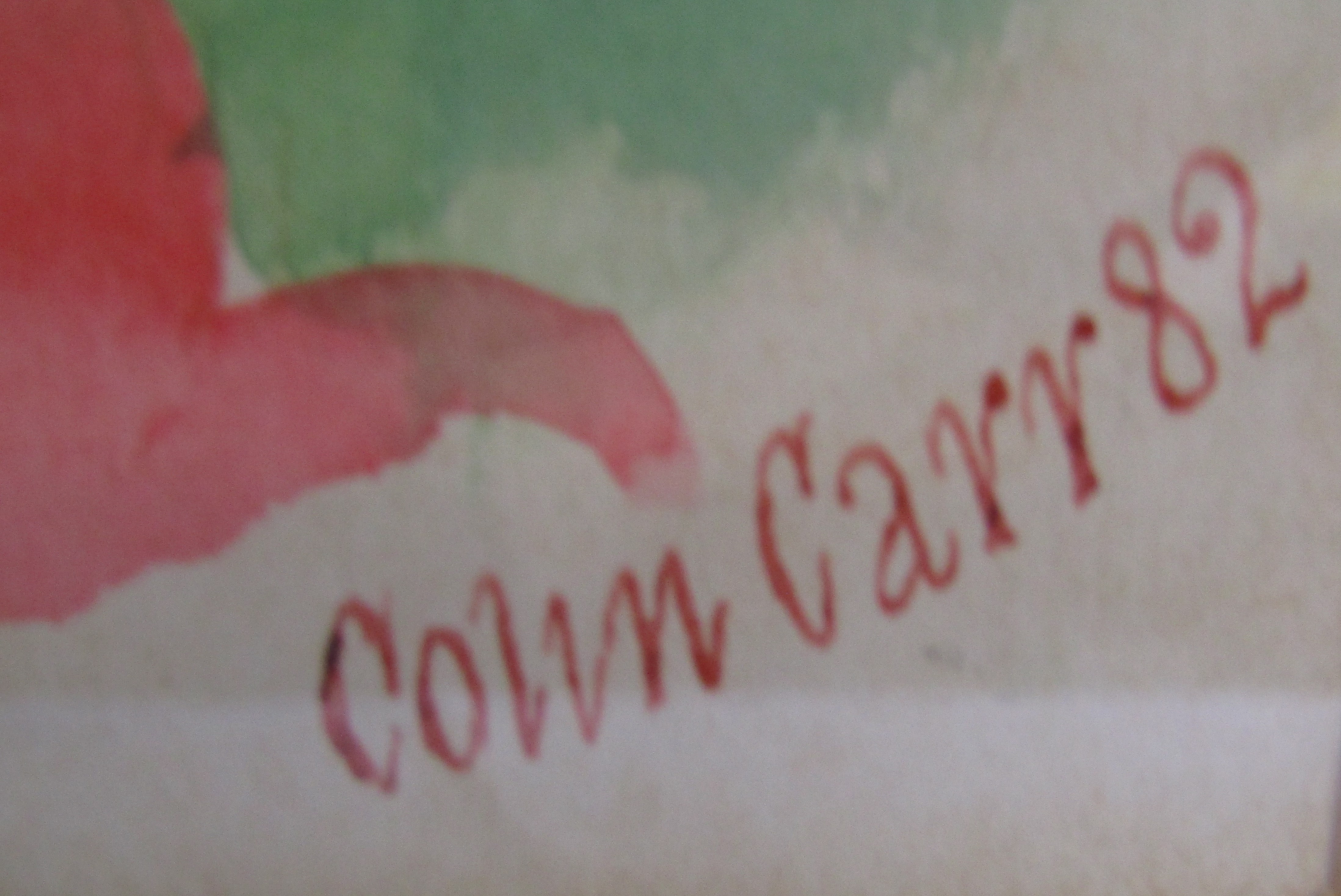 Original Colin Carr watercolour 'Steve Davis' autographed by Steve Davis and signed Colin Carr - Image 4 of 5