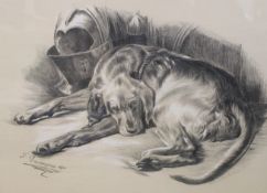 Large oak framed pencil / pastel drawing depicting a sleeping dog signed Gascoigne 1911 78cm x 65cm