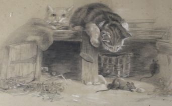 Early 20th century framed pencil / pastel picture depicting cats watching mice 59.5cm x 46cm (