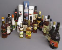 22 bottles of spirits - includes Apricot Brandy, Vodka, Cherry Brandy, Sloane's, Brandy, Frontignan,