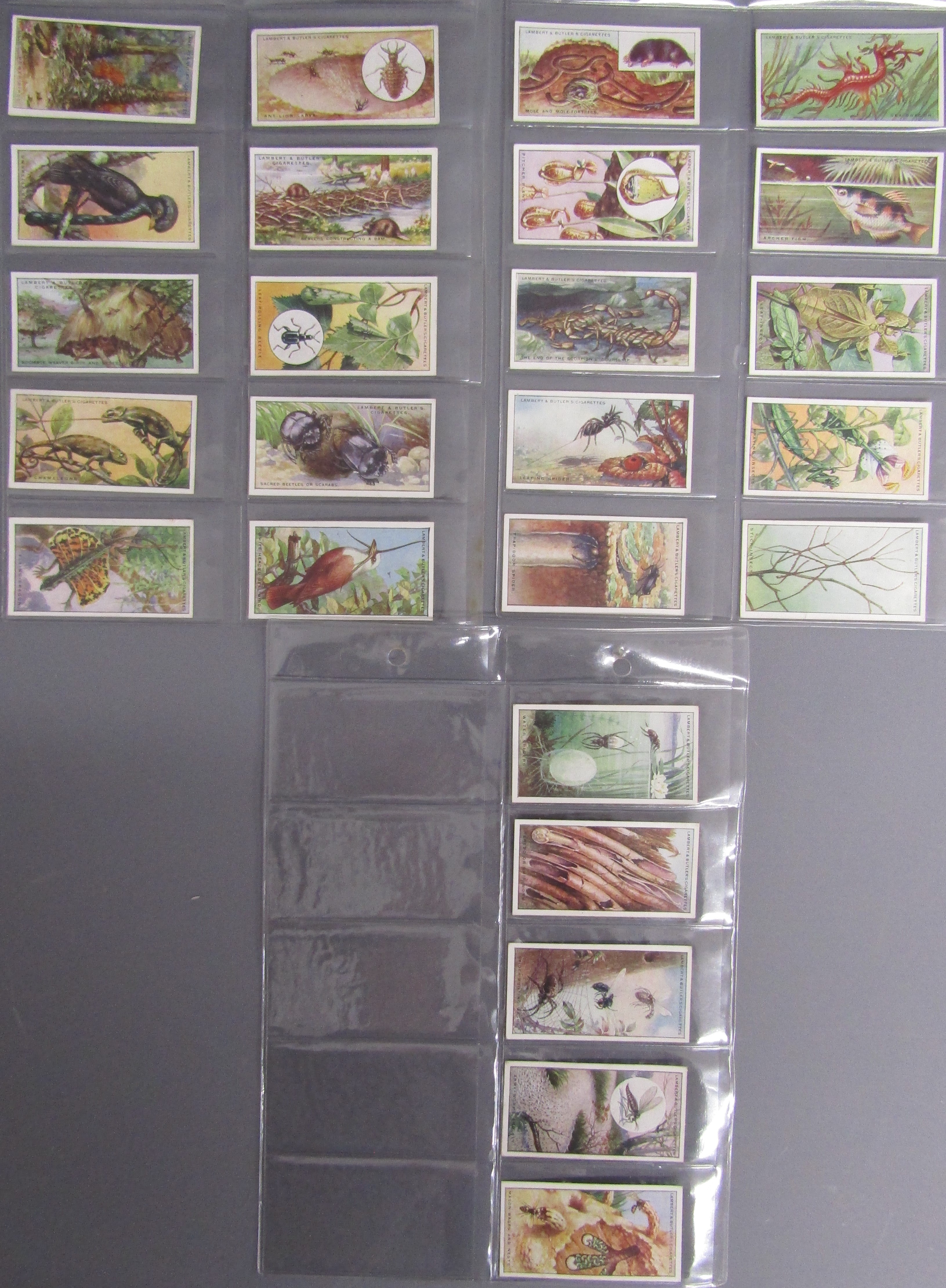 Folder of cigarette collectors cards - WD & HO Wills lighthouses (full set) J Player & Son Grand - Image 10 of 12