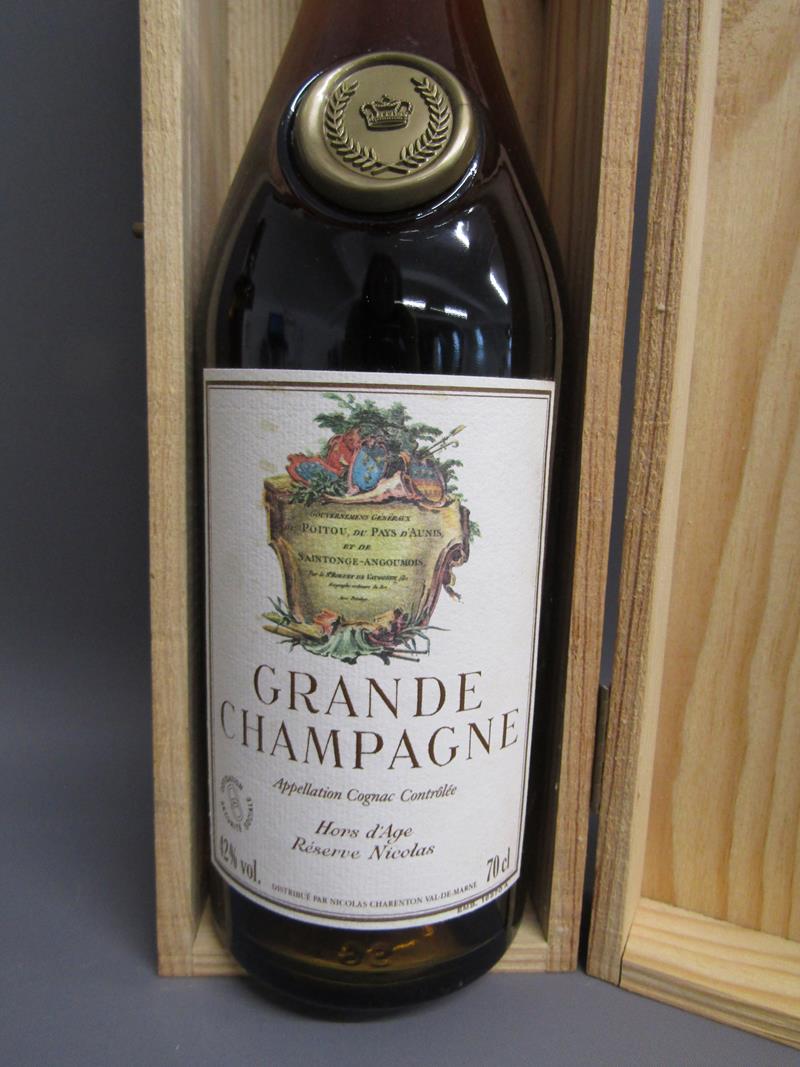 Nicolas Grand Champagne Cognac, Casterede Bas Armagnac, Famous Grouse whisky, Jameson Irish - Image 5 of 7