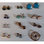 Selection of earrings including silver, semi precious stones & cameo & unmarked brooch