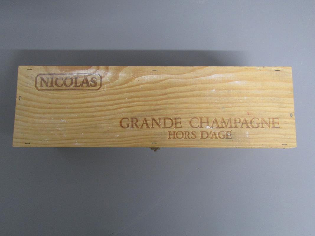 Nicolas Grand Champagne Cognac, Casterede Bas Armagnac, Famous Grouse whisky, Jameson Irish - Image 7 of 7