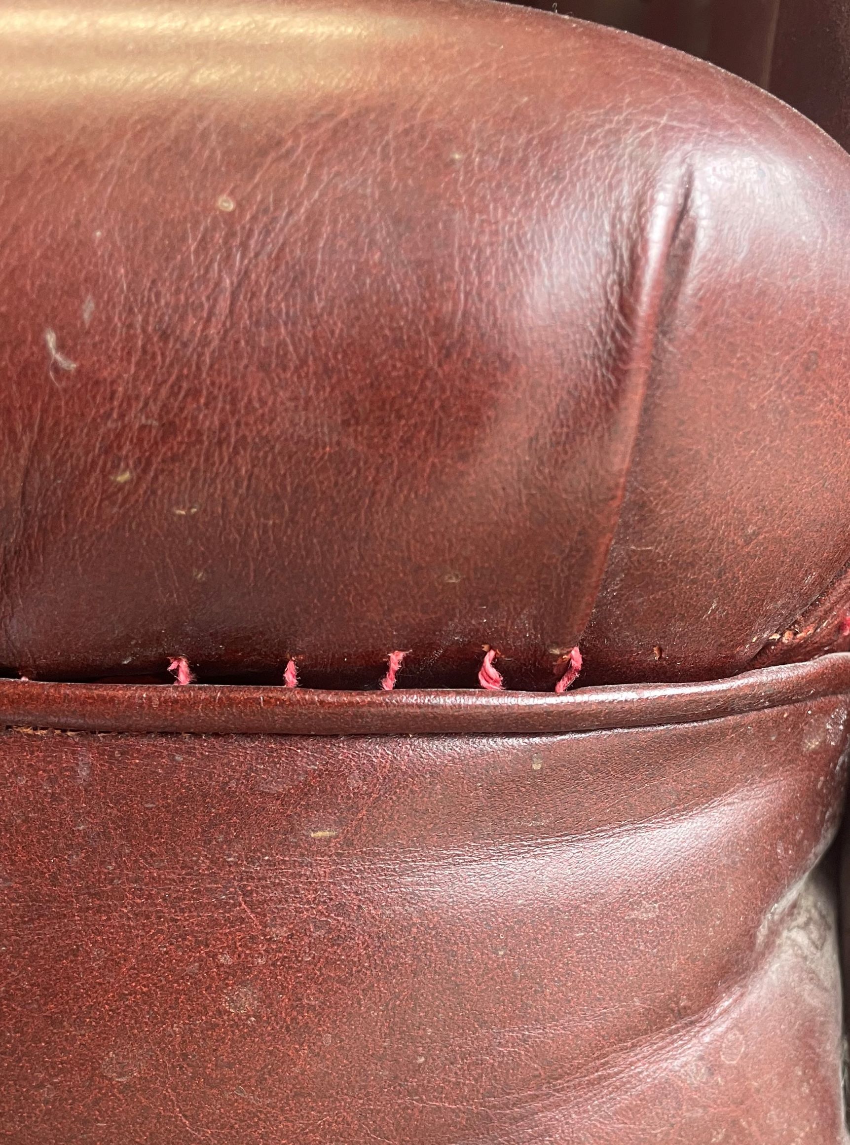 Possibly late 19th century leather button back barrel armchair on turned legs - Image 6 of 6