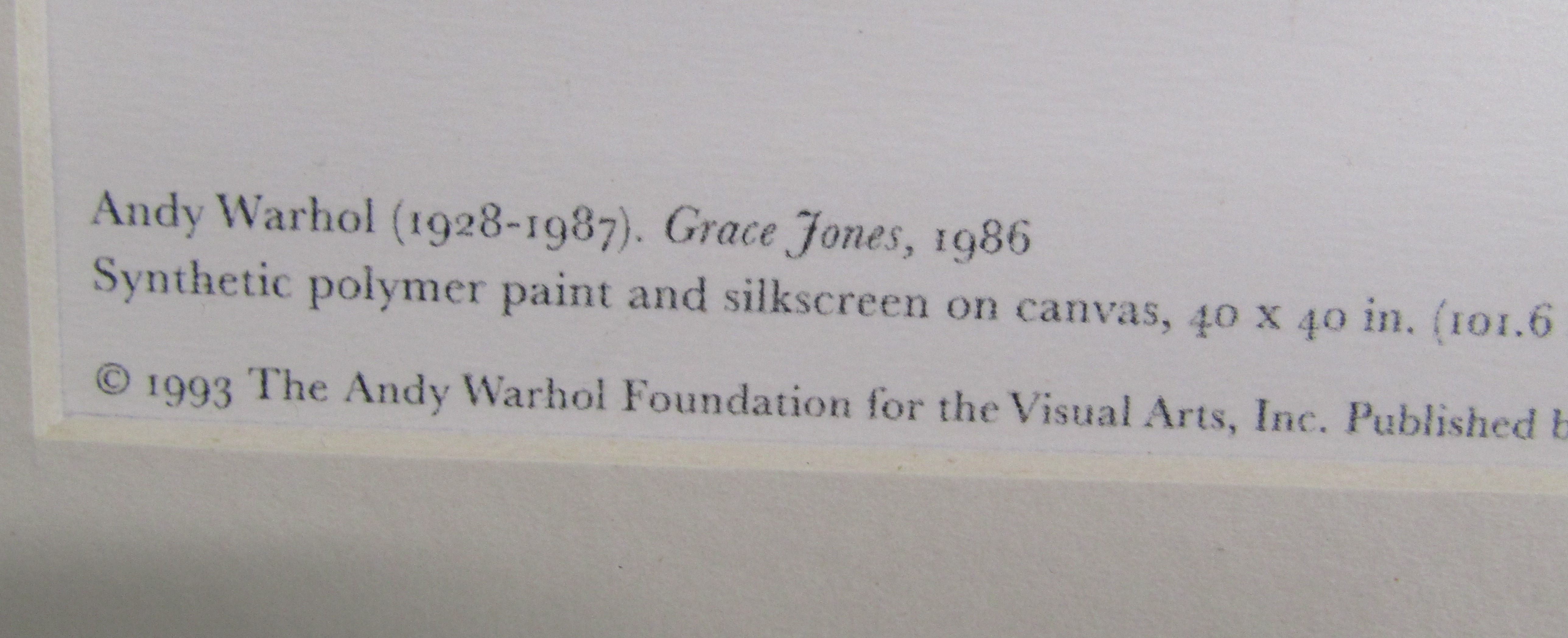 Framed Andy Warhol lithographic print 'Grace Jones' published by Neues New York in association - Bild 4 aus 6