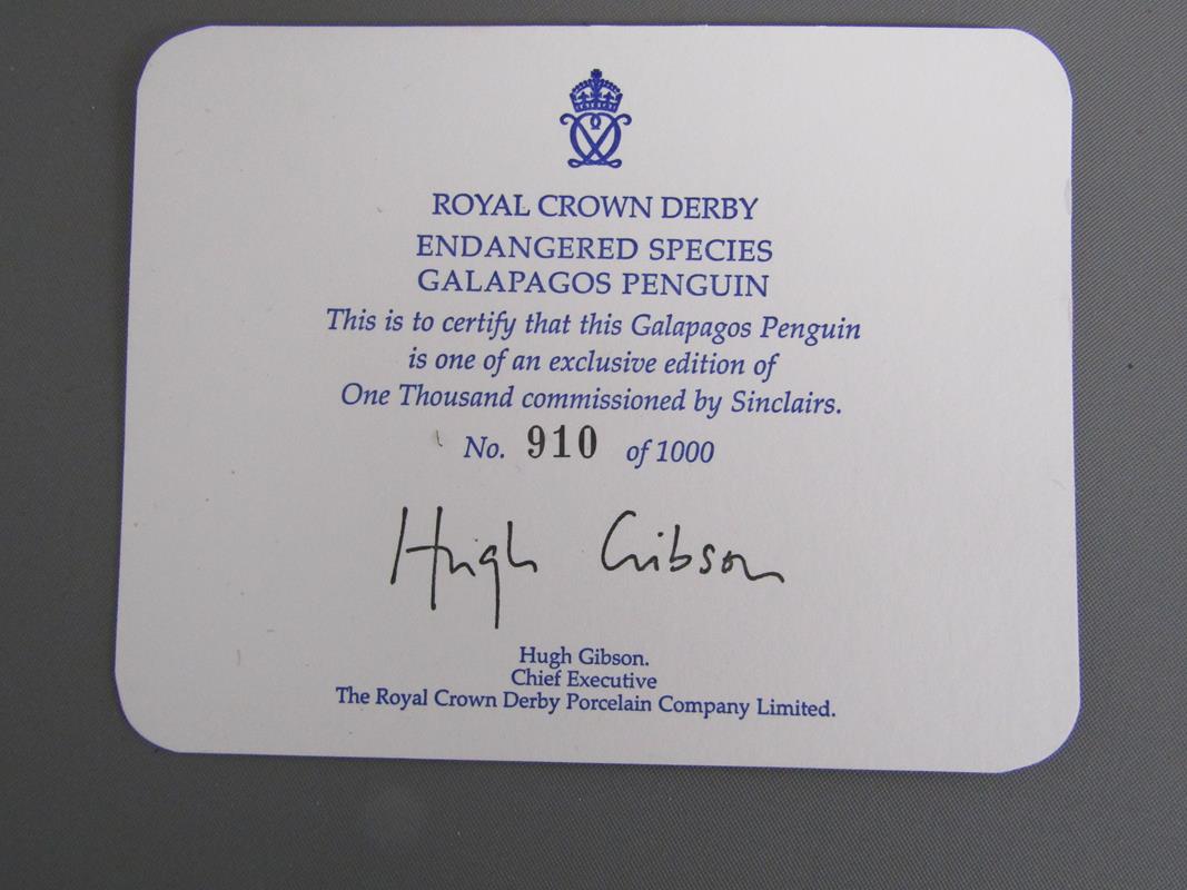 Royal Crown Derby Endangered Species 'Galapagos Penguin' limited edition paperweight 910/1000 - Image 7 of 7