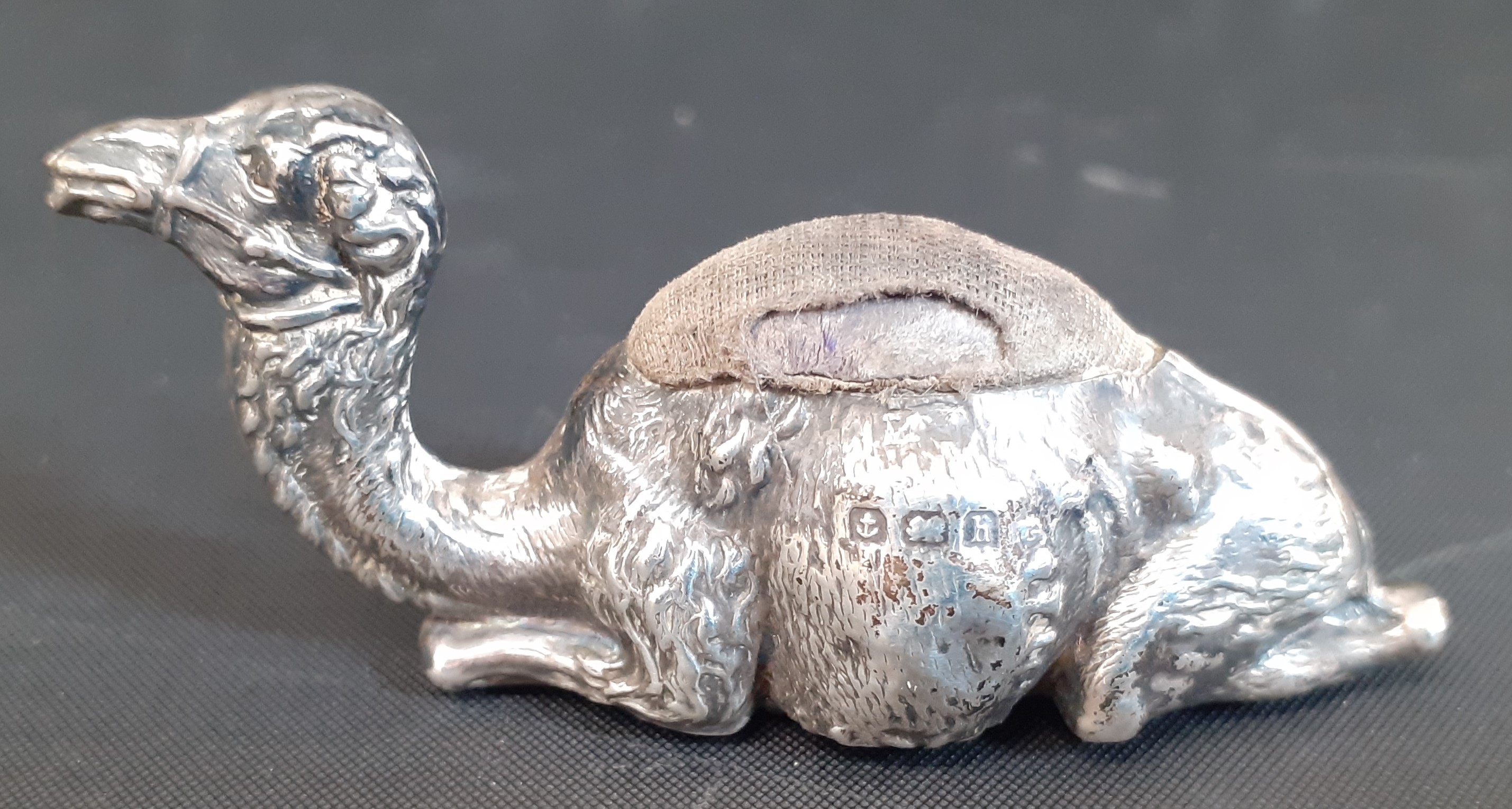 Edwardian novelty silver camel pin cushion, Birmingham 1907, modelled seated, 6.5cm long & white - Image 2 of 3