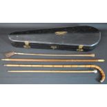 Coffin type violin case, riding crop & three walking sticks