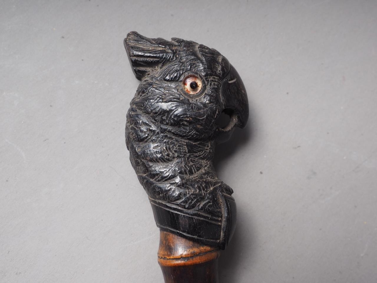 A 19th century carved ebony parrot head parasol handle with bamboo stem, 12" long overall - Image 2 of 3