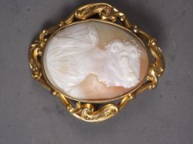 A carved shell cameo brooch, in yellow metal frame