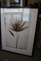 Madelene and Robert Longstreet: a signed photographic print, "Palm", 46" x 34", in ebonised frame,