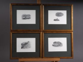 Four wood engravings, in the manner of Thomas Bewick, in coppered frames, and a number of similar