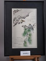 Yoshiume Bairei: woodblock print, woodpecker and prunus blossom, in ebonised frame, and five other