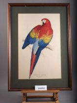 After Edward Lear: a colour print, red and yellow Macaw, three Arctic scenes and a watercolour